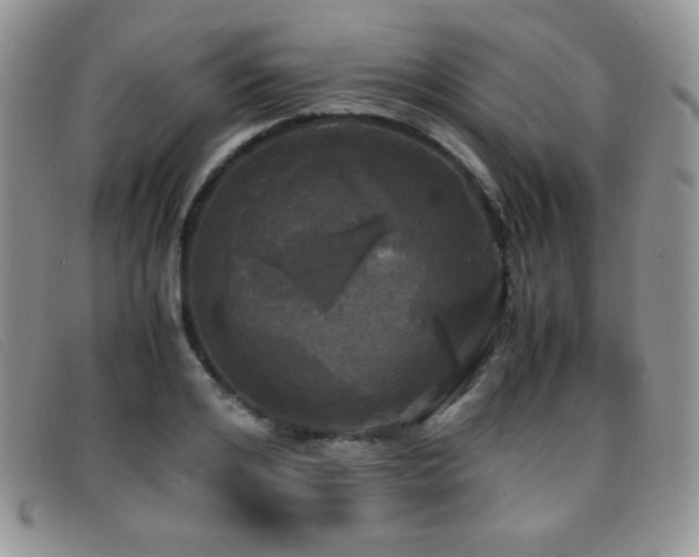 X0000096670984200802051218
