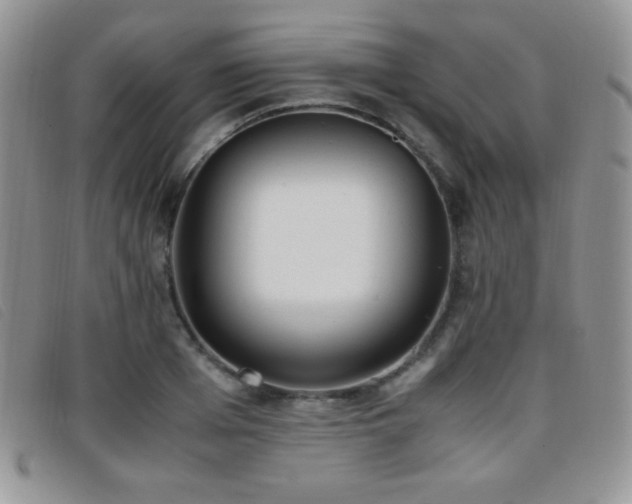 X0000096670985200802051218