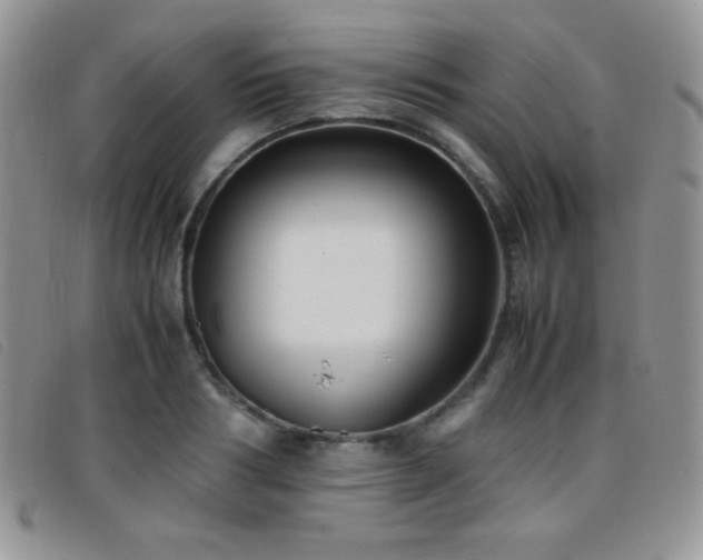 X0000096670986200802051218