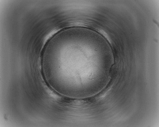 X0000096670987200802051218
