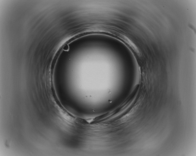 X0000096670988200802051218