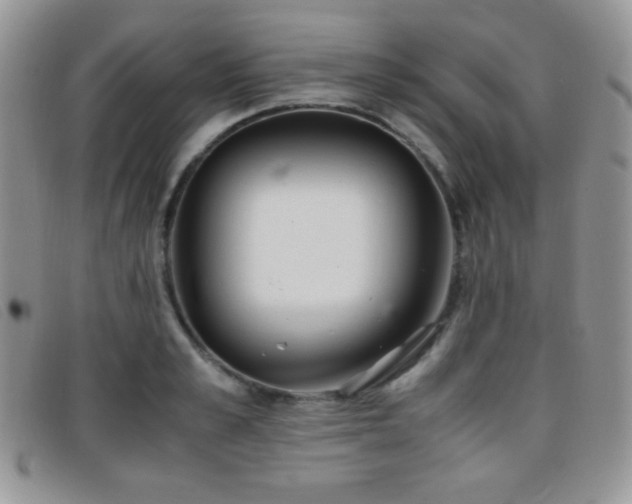 X0000096670989200802051218