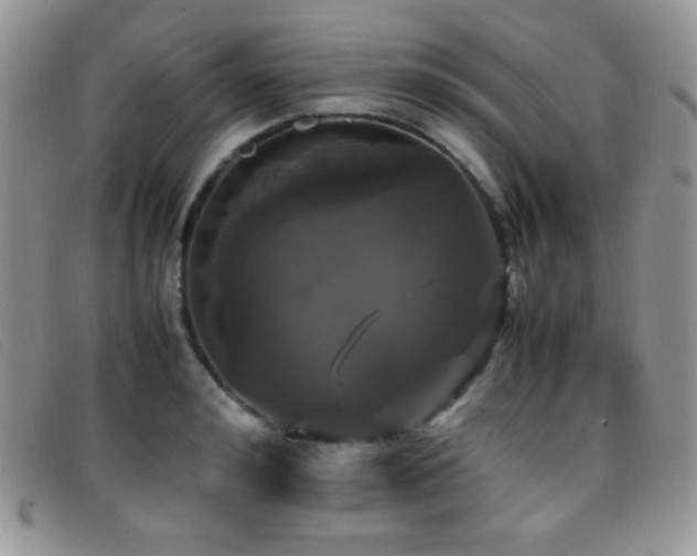 X0000096670992200802051218
