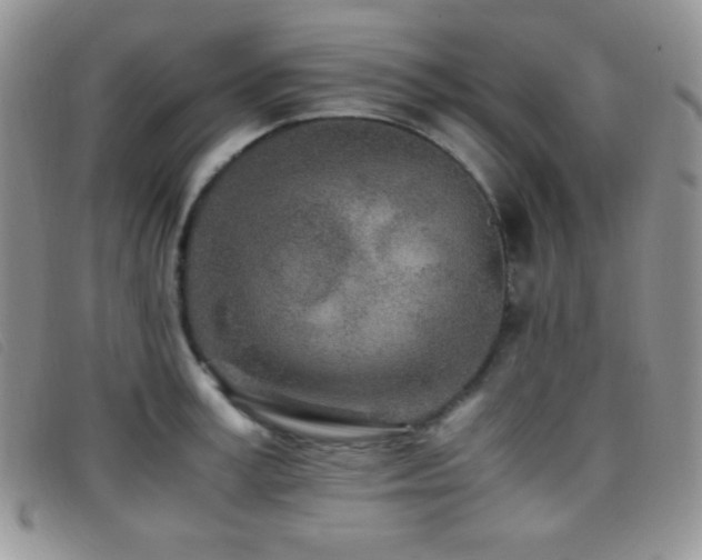 X0000096670995200802051218