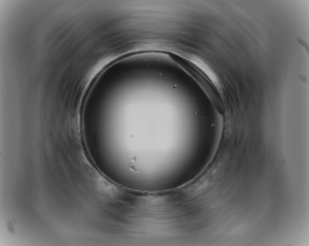 X0000096670996200802051218