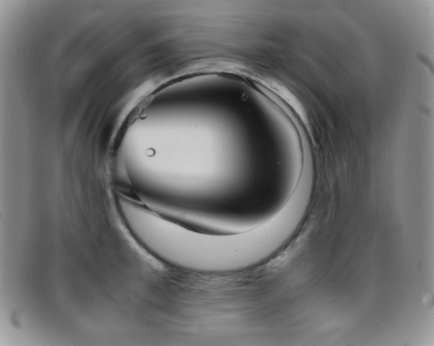 X0000096670997200802051218