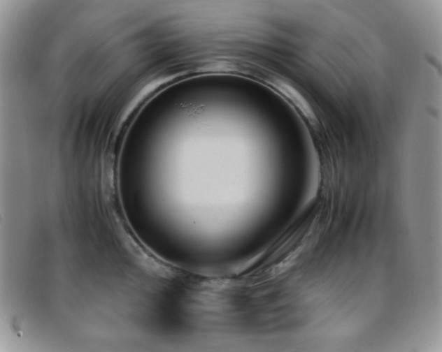 X0000096671000200802051218