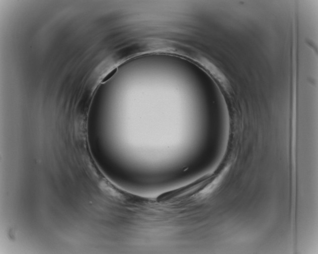 X0000096671001200802051218