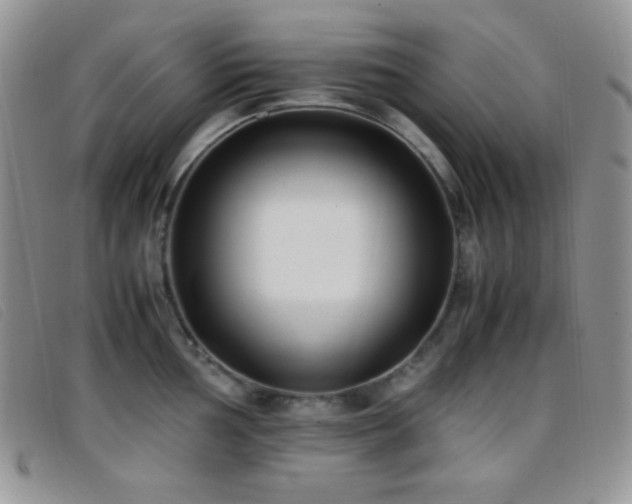 X0000096671002200802051218