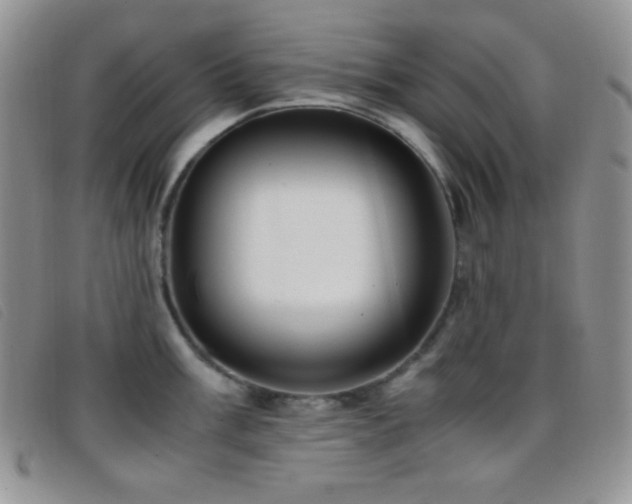 X0000096671003200802051218