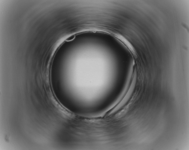 X0000096671004200802051218