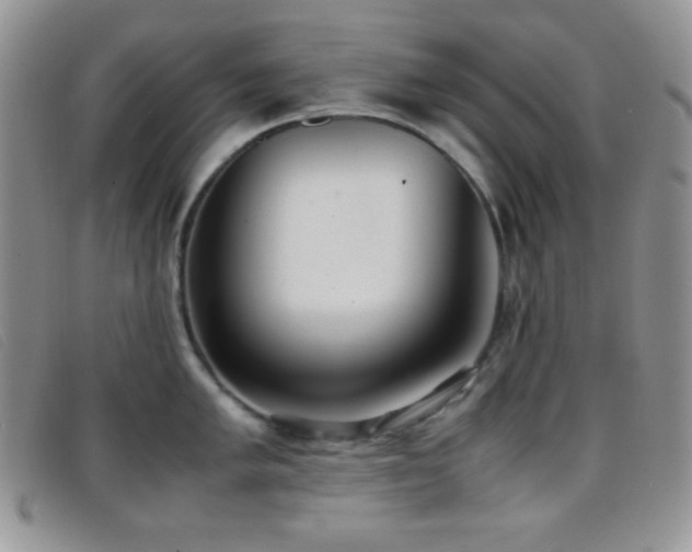 X0000096671005200802051218