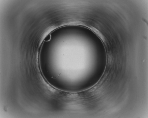 X0000096671006200802051218