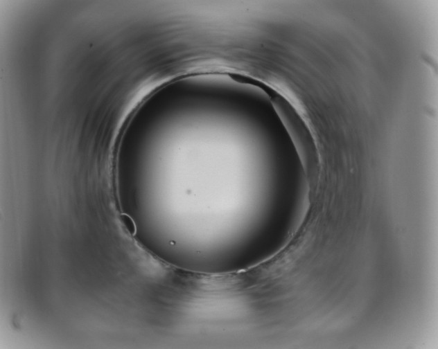 X0000096671008200802051218