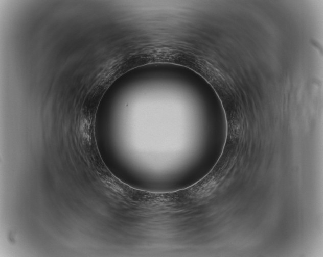 X0000096671010200802051217