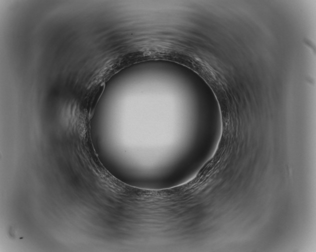 X0000096671012200802051217