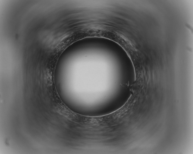 X0000096671013200802051217