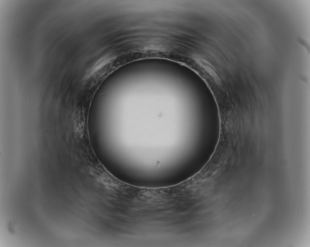 X0000096671015200802051217