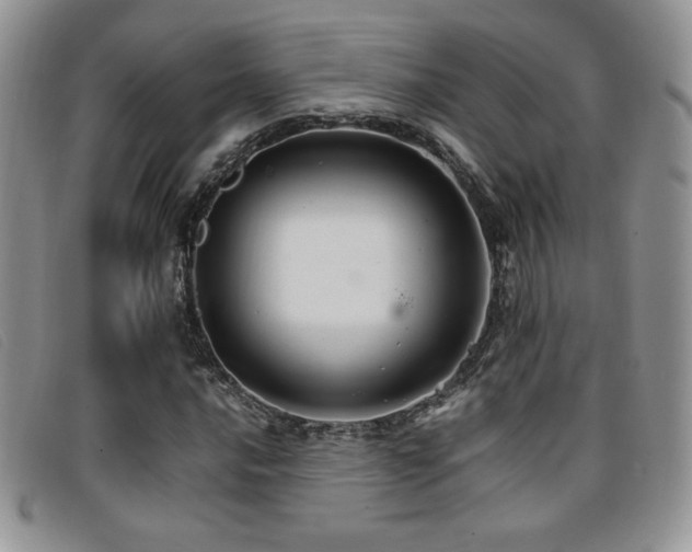 X0000096671016200802051217