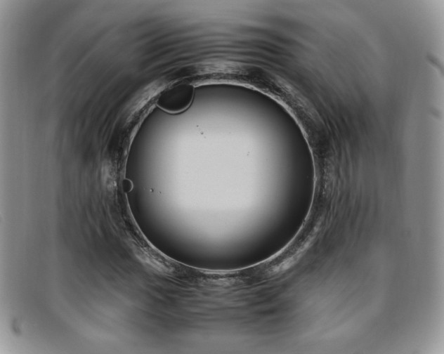 X0000096671017200802051217