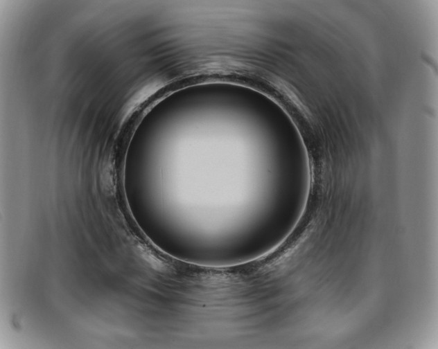 X0000096671018200802051217
