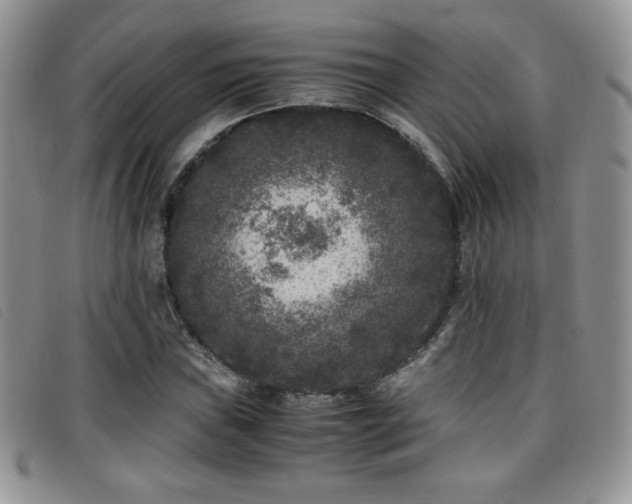 X0000096671019200802051217