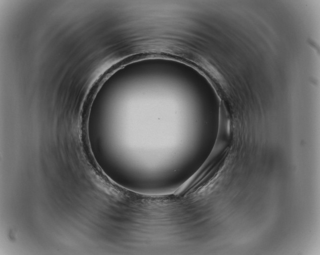 X0000096671020200802051217