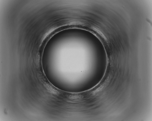 X0000096671021200802051217