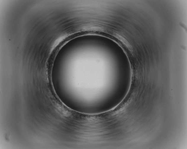X0000096671022200802051217