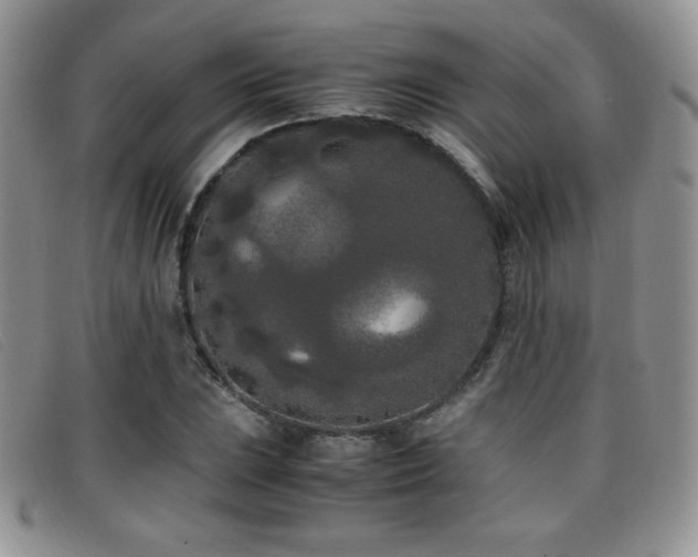 X0000096671023200802051217