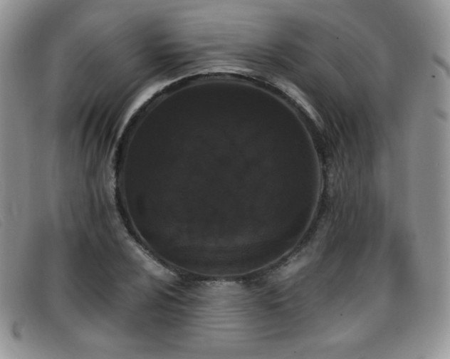X0000096671024200802051217
