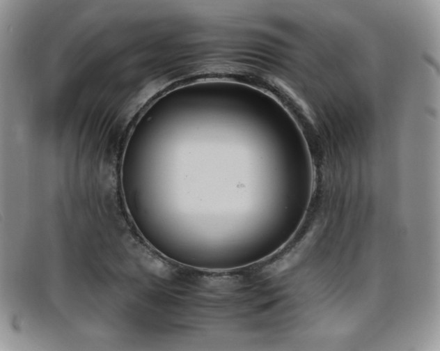 X0000096671025200802051218