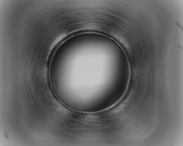 X0000096671029200802051218