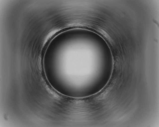X0000096671030200802051218