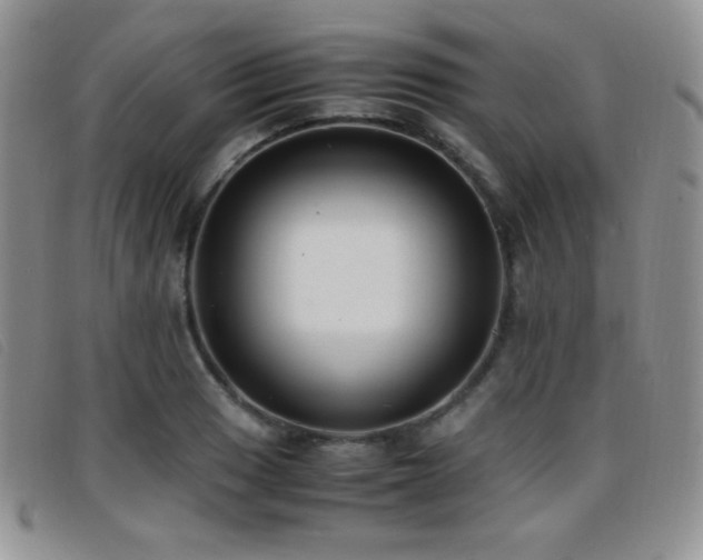 X0000096671033200802051218
