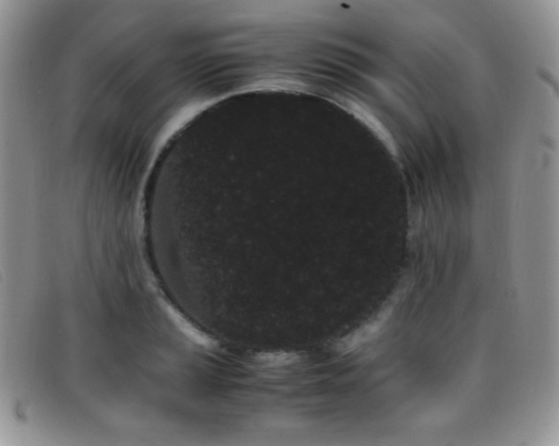 X0000096671037200802051218