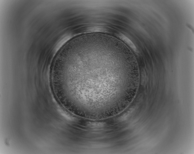 X0000096671039200802051218