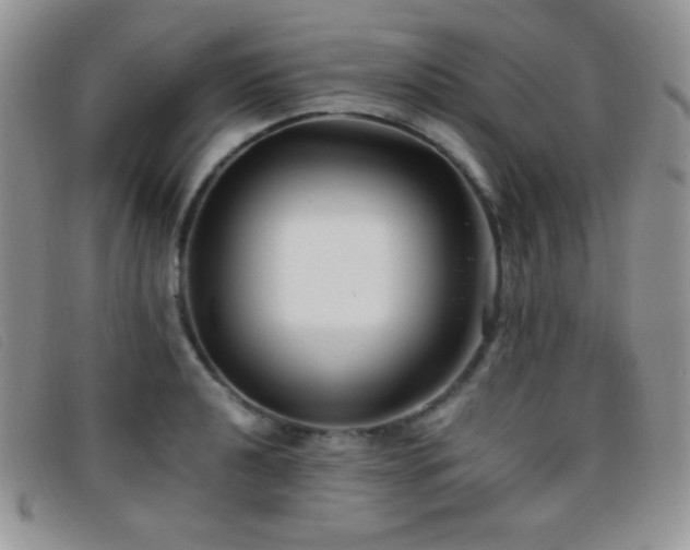 X0000096671040200802051218