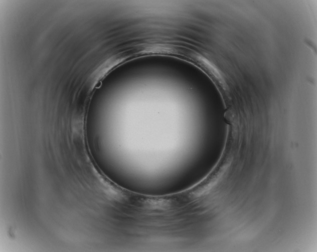 X0000096671041200802051218