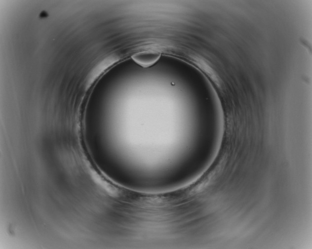 X0000096671042200802051218