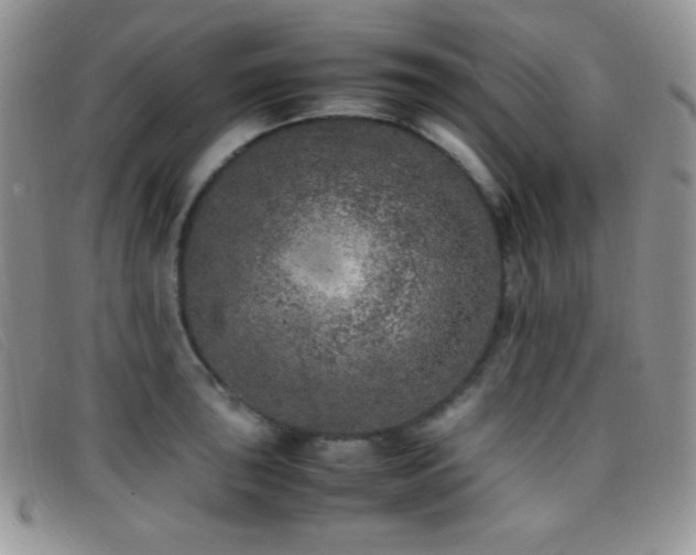 X0000096671043200802051218