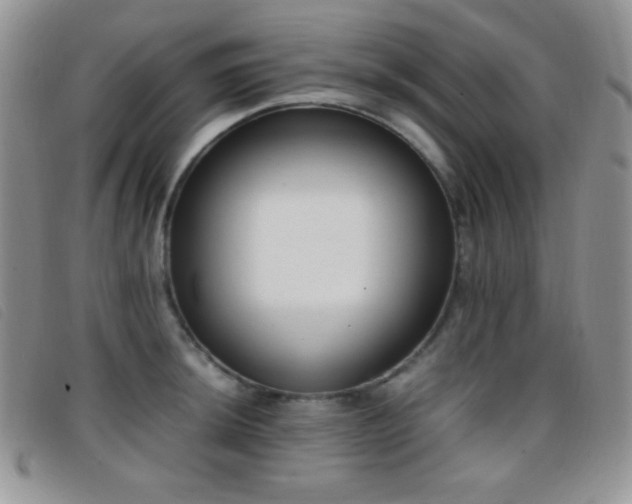 X0000096671044200802051218