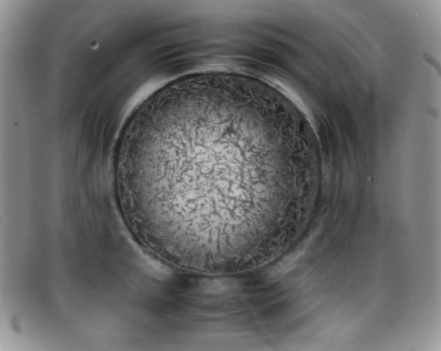 X0000096671045200802051218