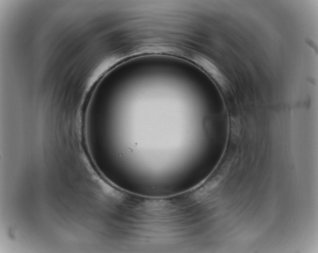 X0000096671046200802051218