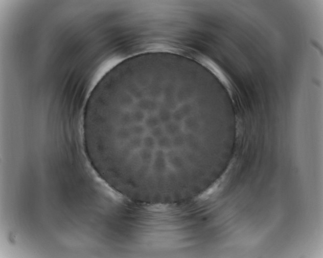 X0000096671048200802051218