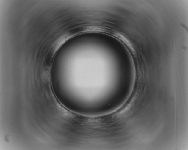 X0000096671049200802051218
