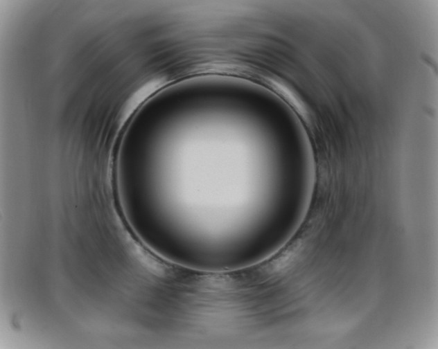 X0000096671050200802051218