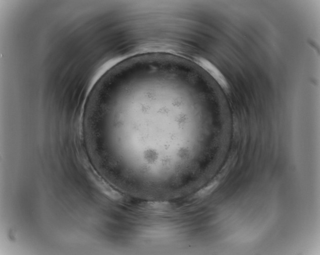 X0000096671052200802051218
