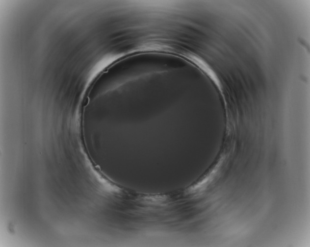 X0000096671053200802051218