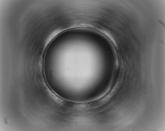 X0000096671054200802051218